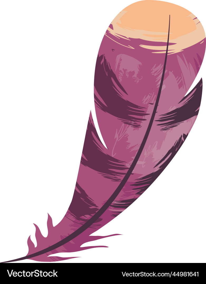 Feather boho style Royalty Free Vector Image - VectorStock