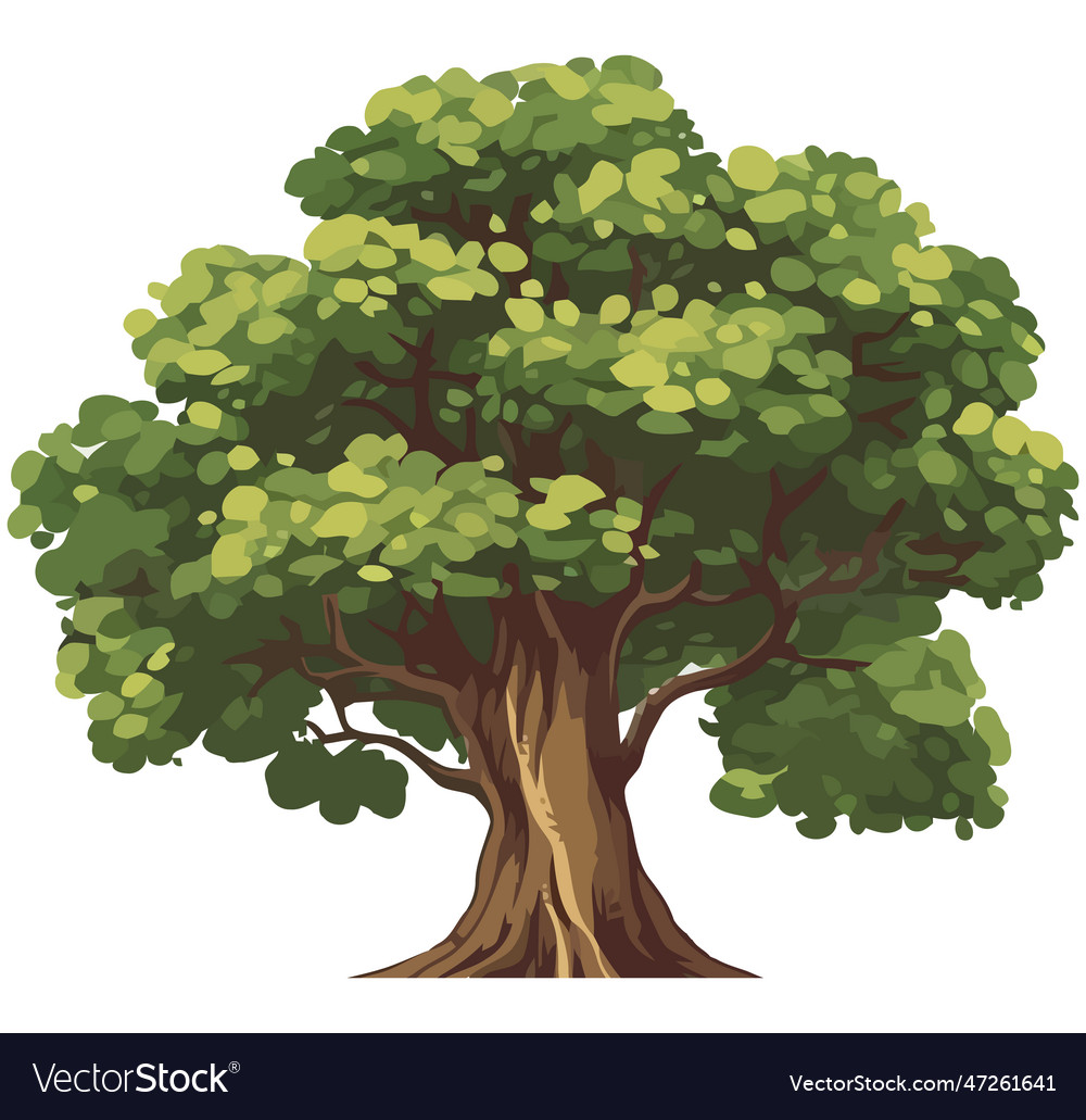 Nature big tree Royalty Free Vector Image - VectorStock