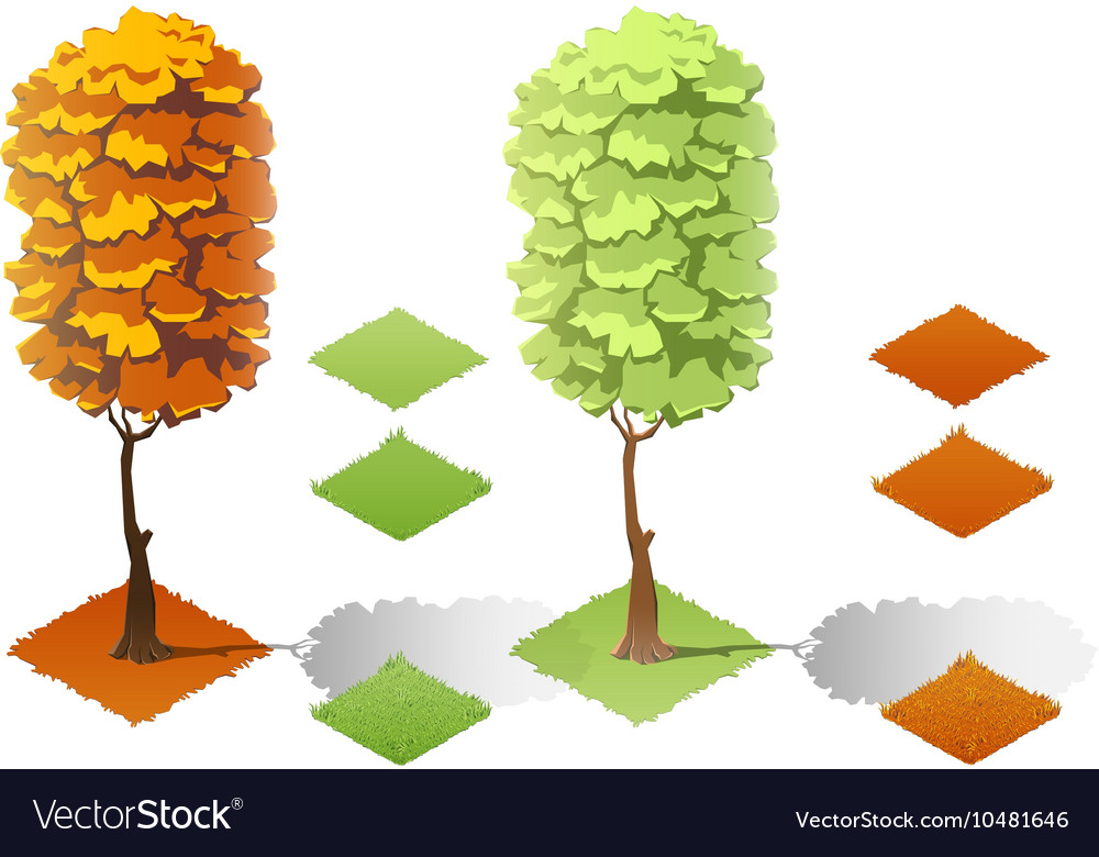 Isometric plants forest collection set Fall trees Vector Image