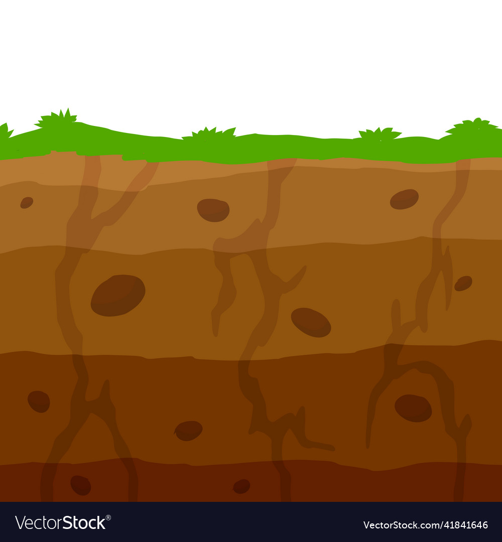 Land in the section Royalty Free Vector Image - VectorStock