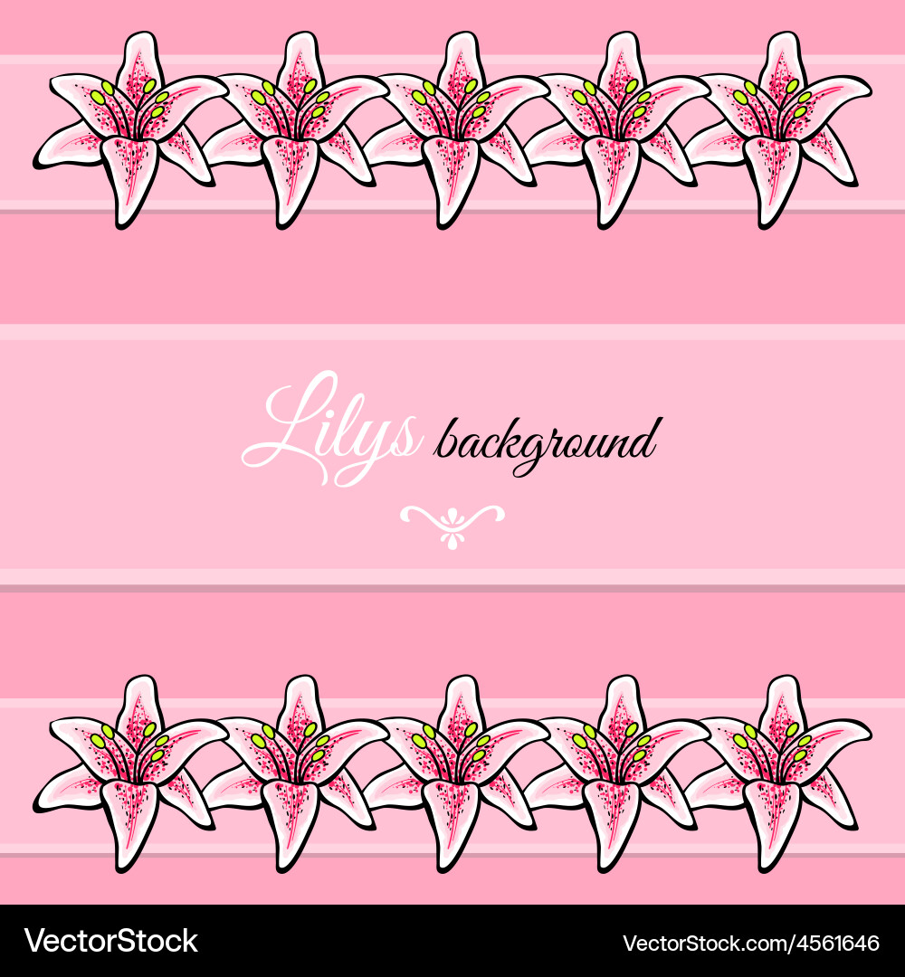 Lily Royalty Free Vector Image - VectorStock