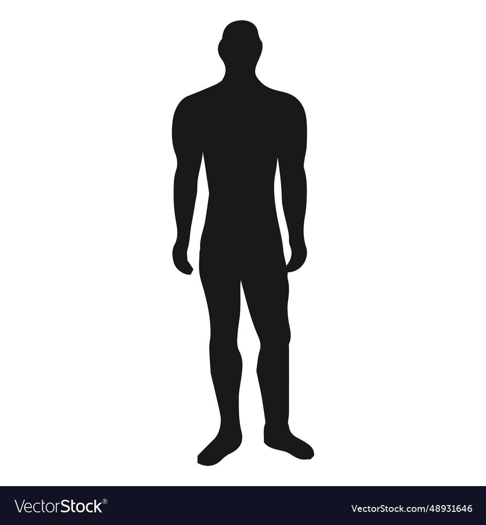 Muscular male standing silhouette Royalty Free Vector Image