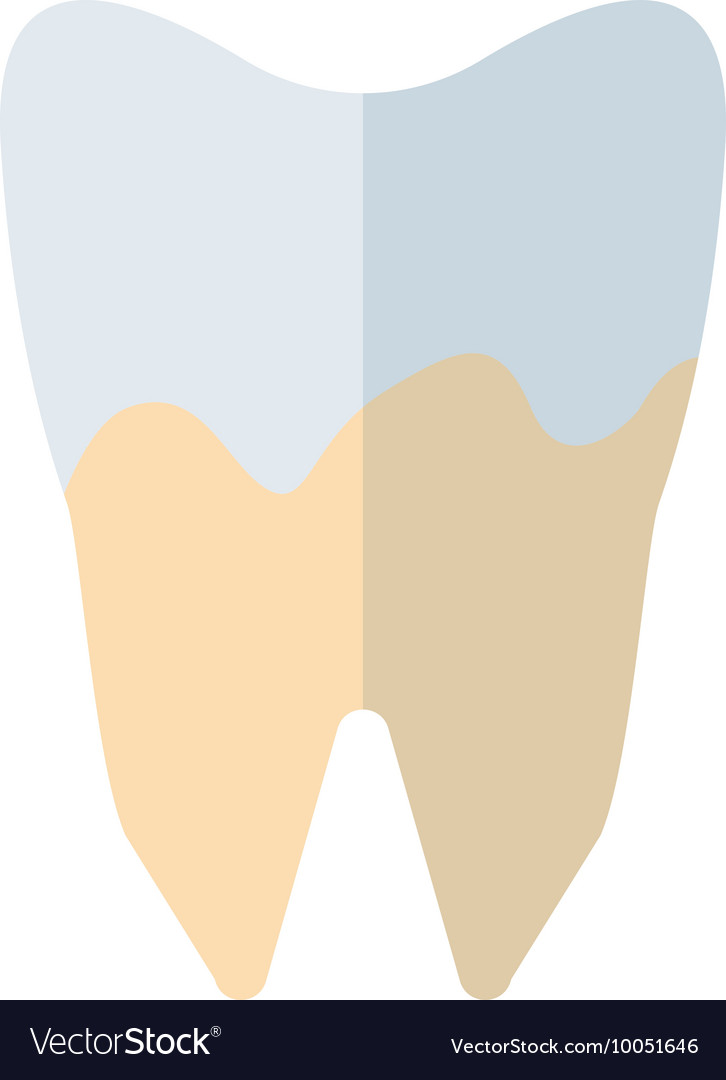 Tooth icon silhouette Royalty Free Vector Image