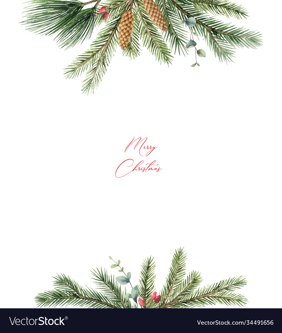 Watercolor Christmas Card With Fir Branches Vector Image