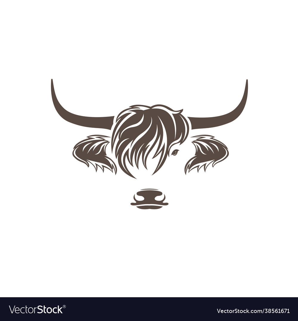 Highland cow head design on white background farm Vector Image