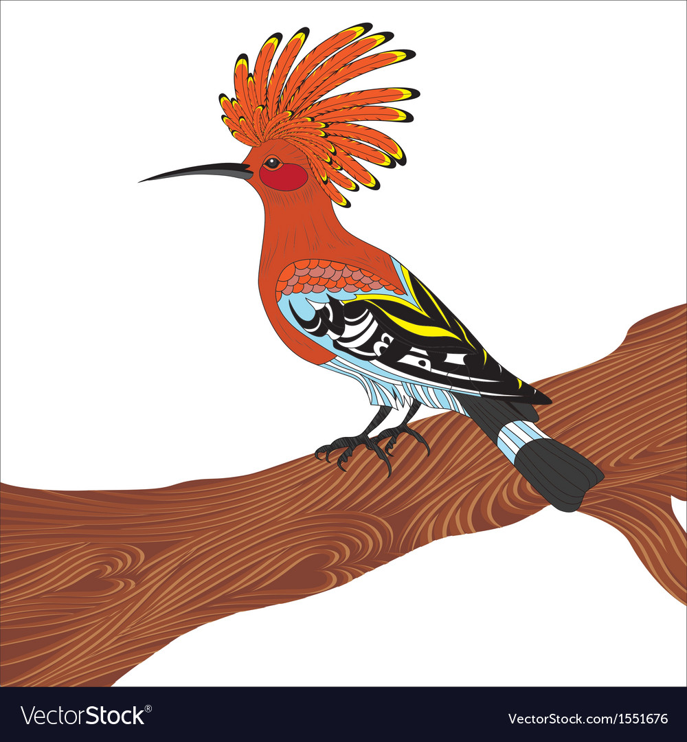 Bird hoopoe Royalty Free Vector Image VectorStock