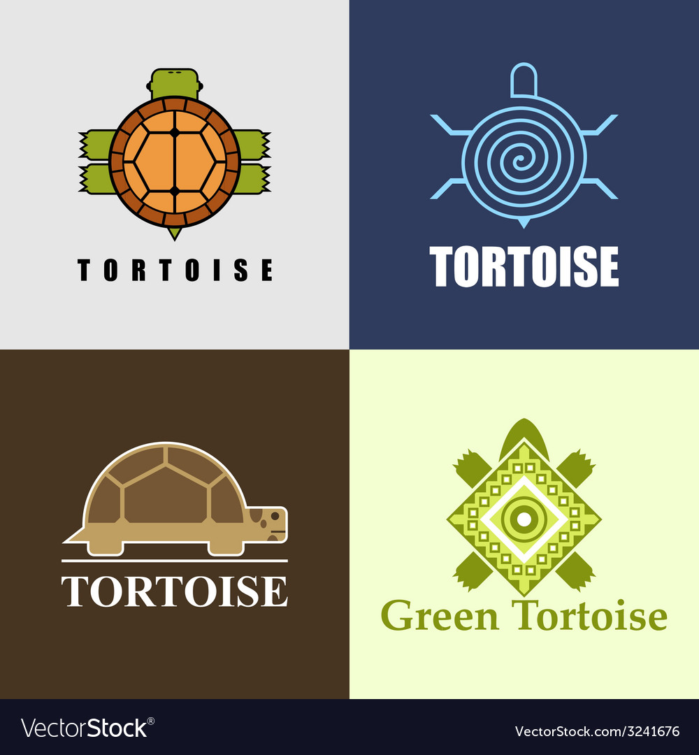 Tortoise Royalty Free Vector Image - VectorStock