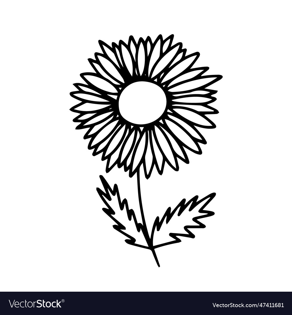 Doodle sunflower Royalty Free Vector Image - VectorStock