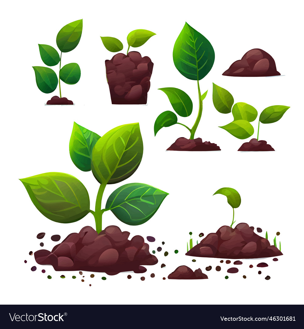 Set of plant growing on soil Royalty Free Vector Image