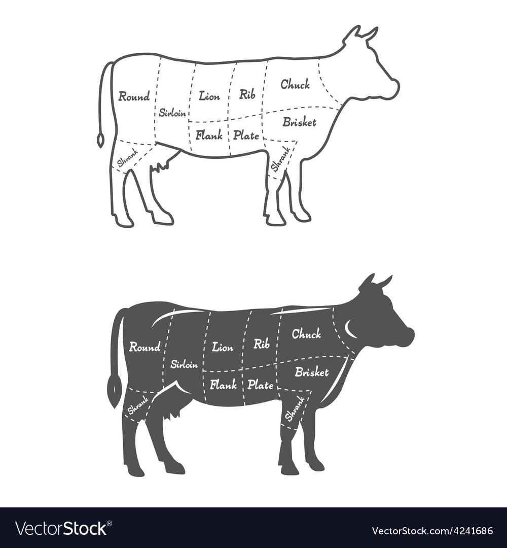 Detailed diagram scheme or chart of Royalty Free Vector