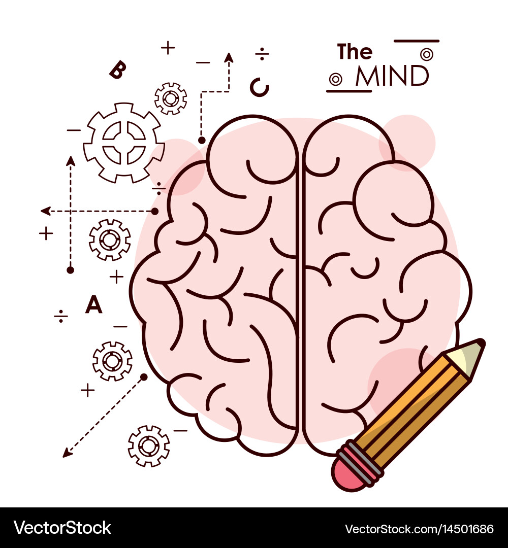 Mind brain pencil idea creativity intelligence Vector Image