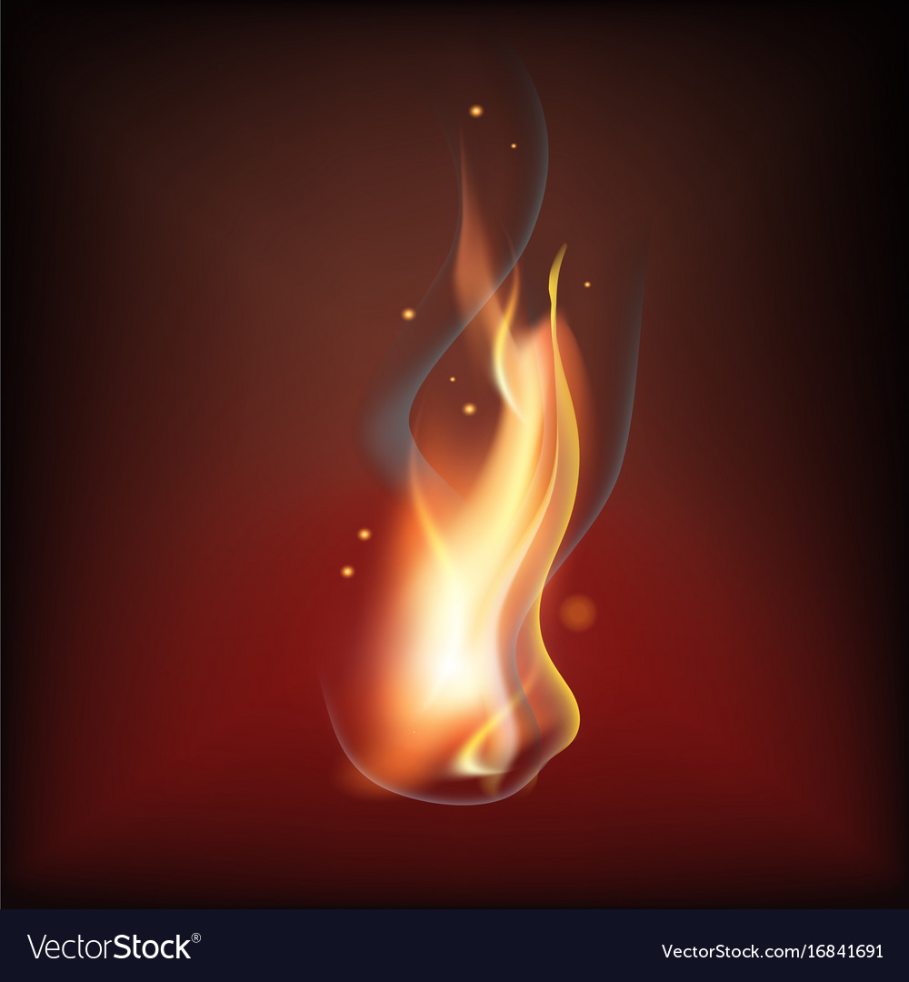 Realistic fire flame Royalty Free Vector Image