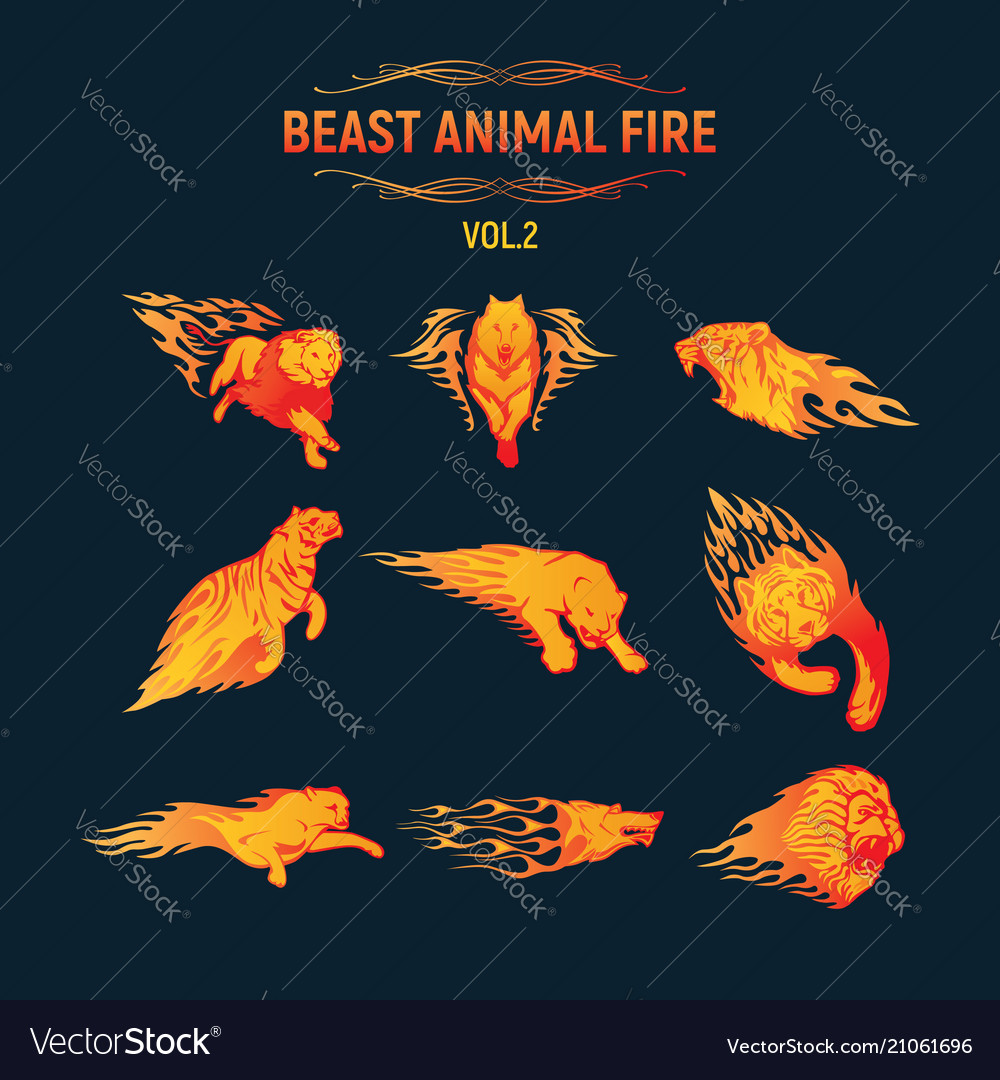 Beast Animal Flame Set Royalty Free Vector Image