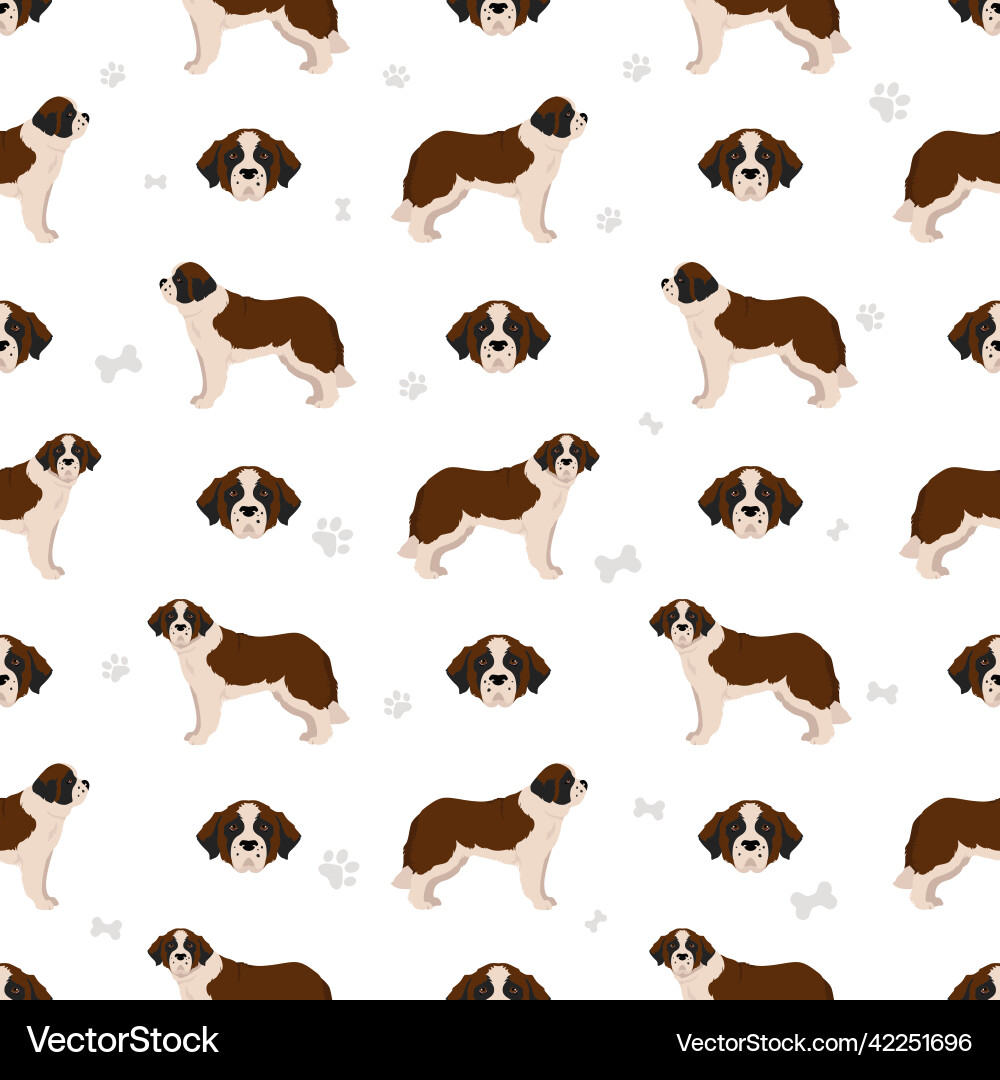 St bernard longhaired coat colors different poses Vector Image