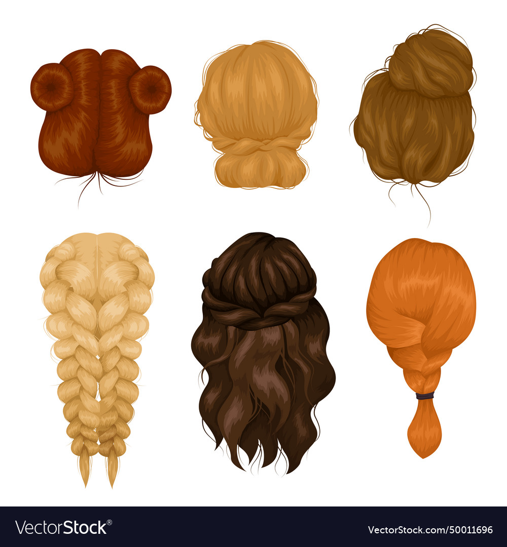 Women hairstyle back view icons collection Vector Image