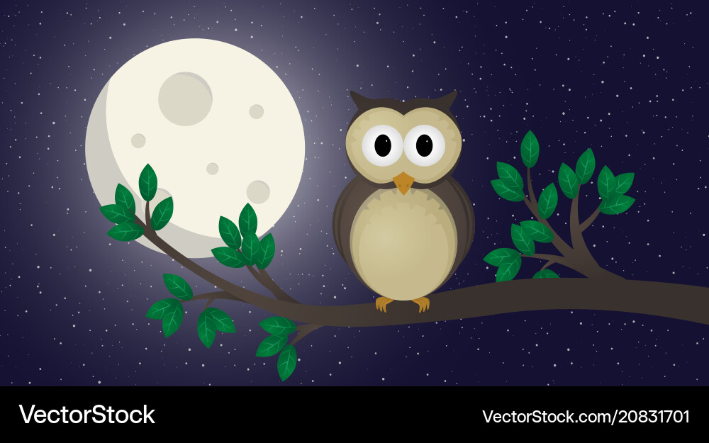 Cute owl Royalty Free Vector Image - VectorStock