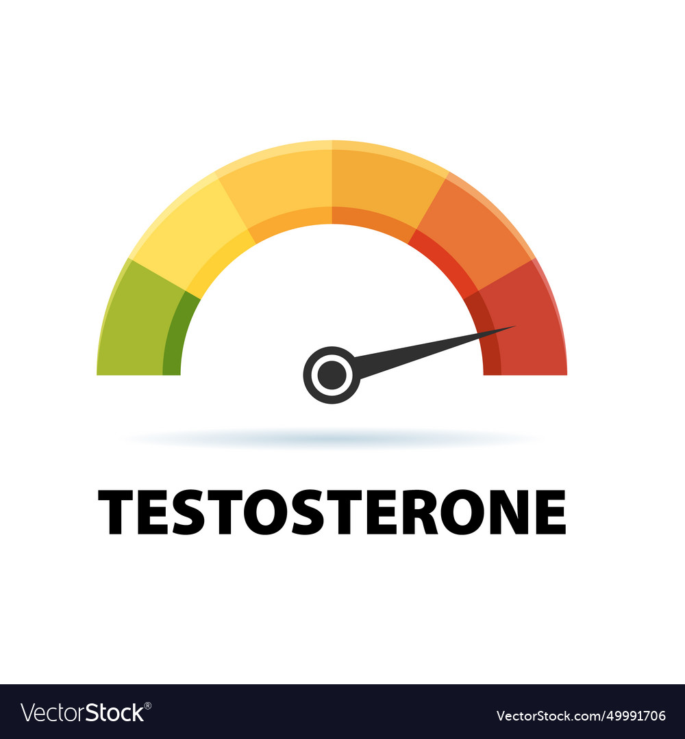 Testosterone Level Meter Hormone Speedometer Vector Image