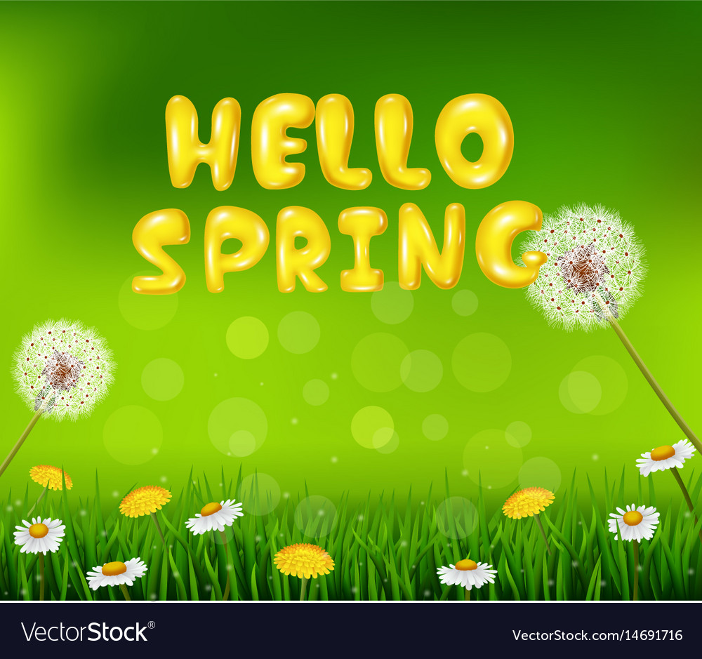 Beautiful spring or summer season nature backgroun