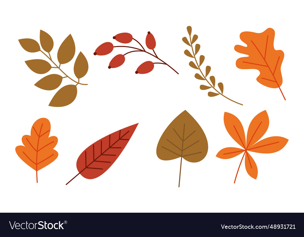 Autumn leaves logo image Royalty Free Vector Image