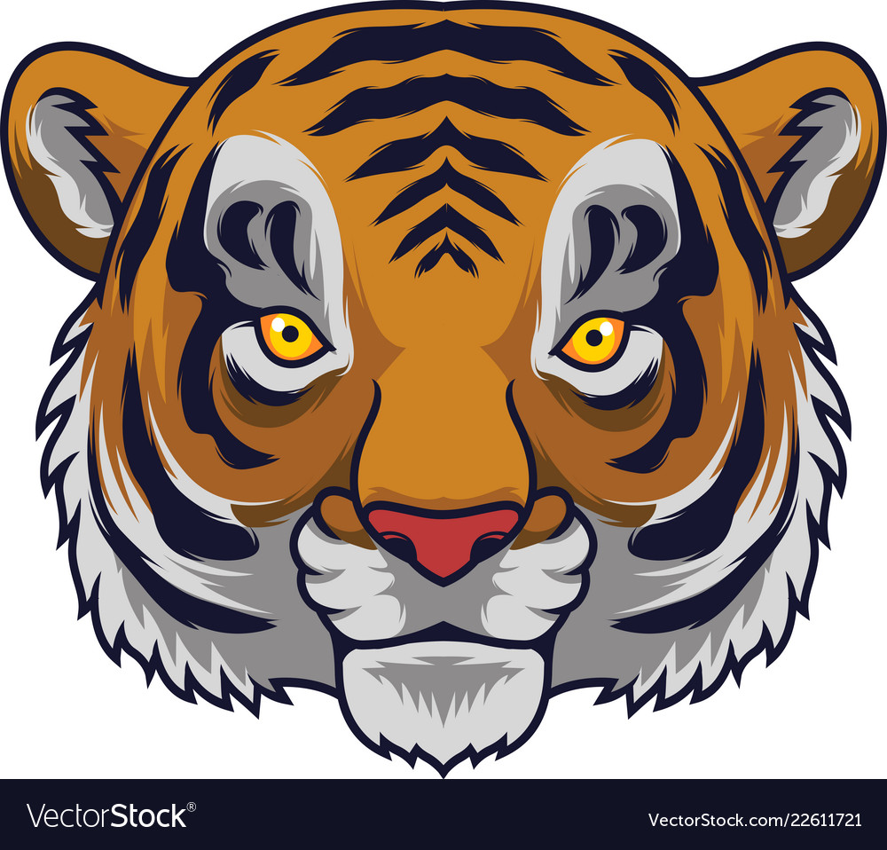 Cartoon tiger head mascot Royalty Free Vector Image