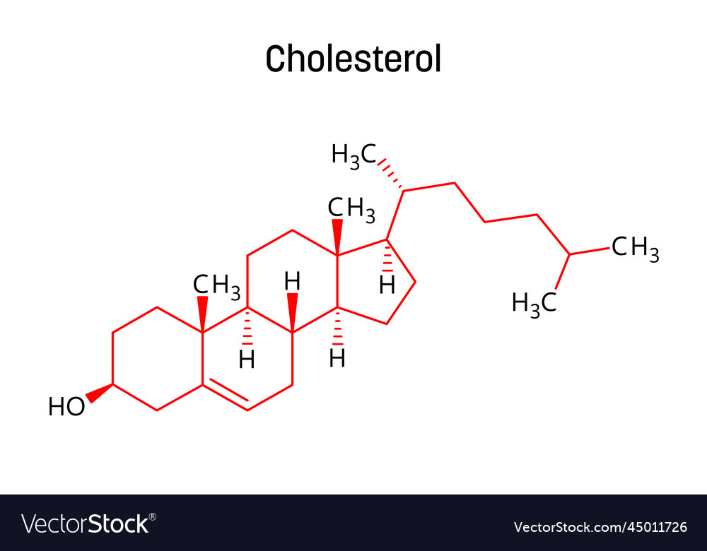 Cholesterol structural formula of molecular Vector Image