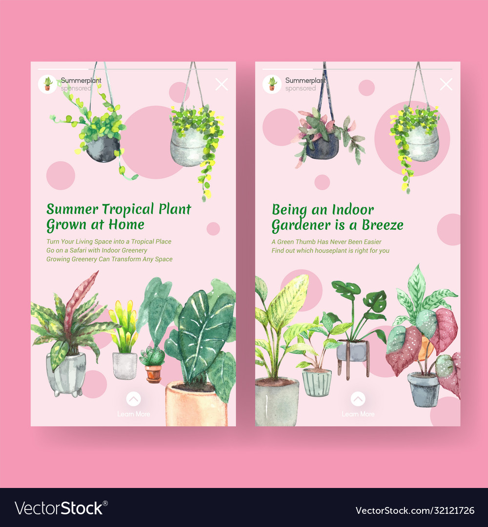 Instagram template design with summer plant and Vector Image