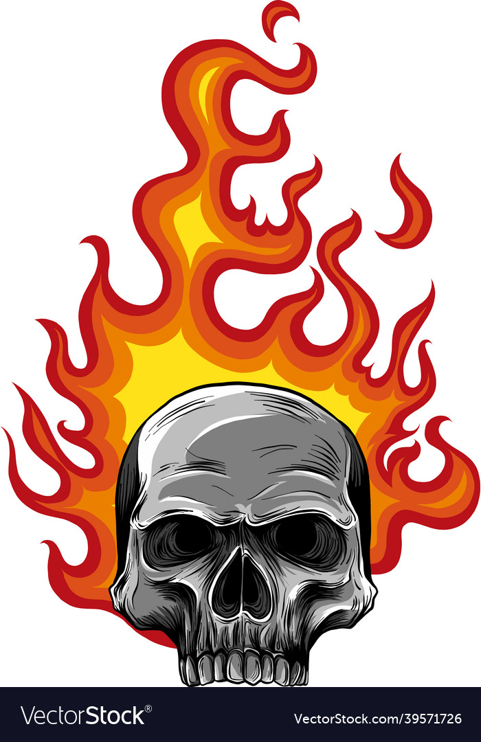 Skull on fire with flames Royalty Free Vector Image