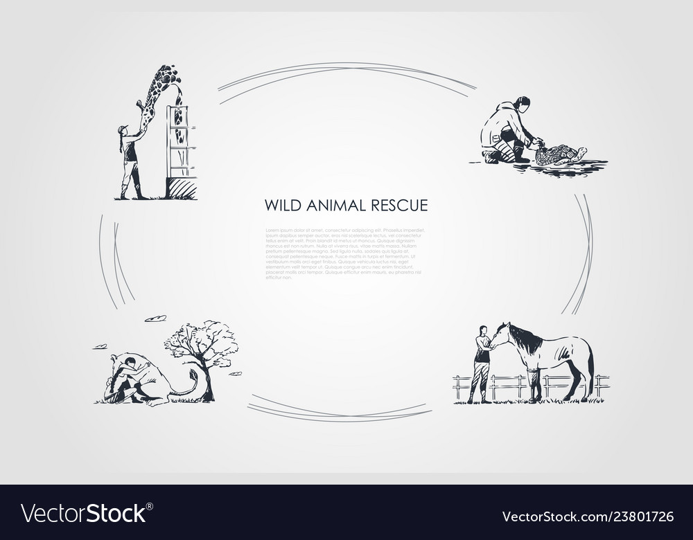 Wild animals rescue - people taking care Vector Image Wild animals rescue - people taking care Vector Image