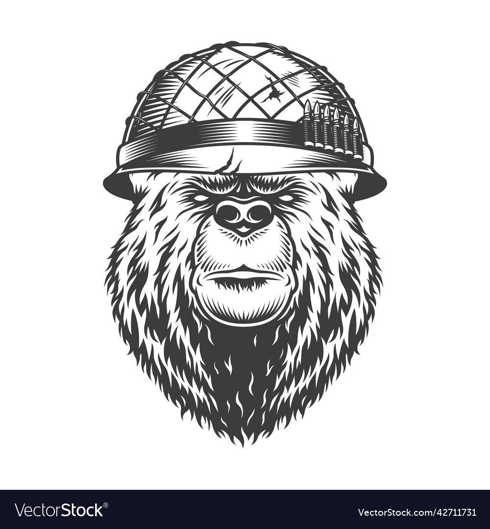 Vintage bear head in soldier helmet Royalty Free Vector