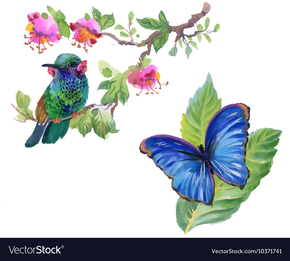 Watercolor colorful bird and butterfly with leaves