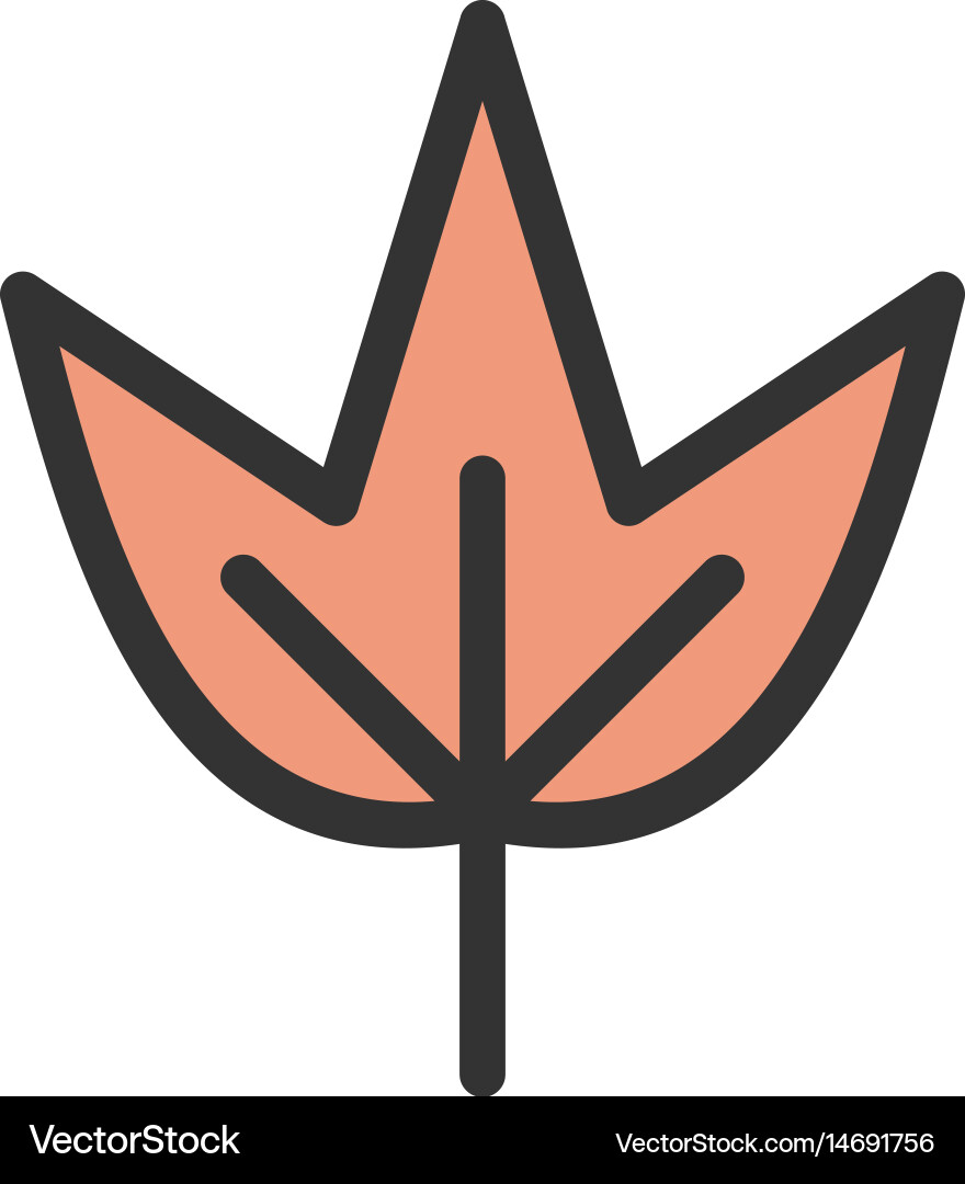 Autumn leaf Royalty Free Vector Image - VectorStock