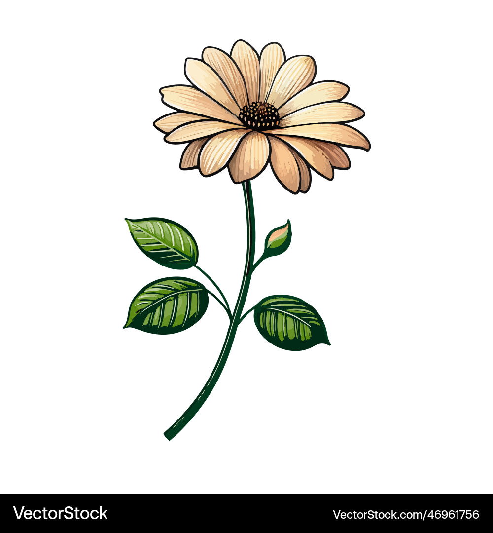 Flower Royalty Free Vector Image - VectorStock
