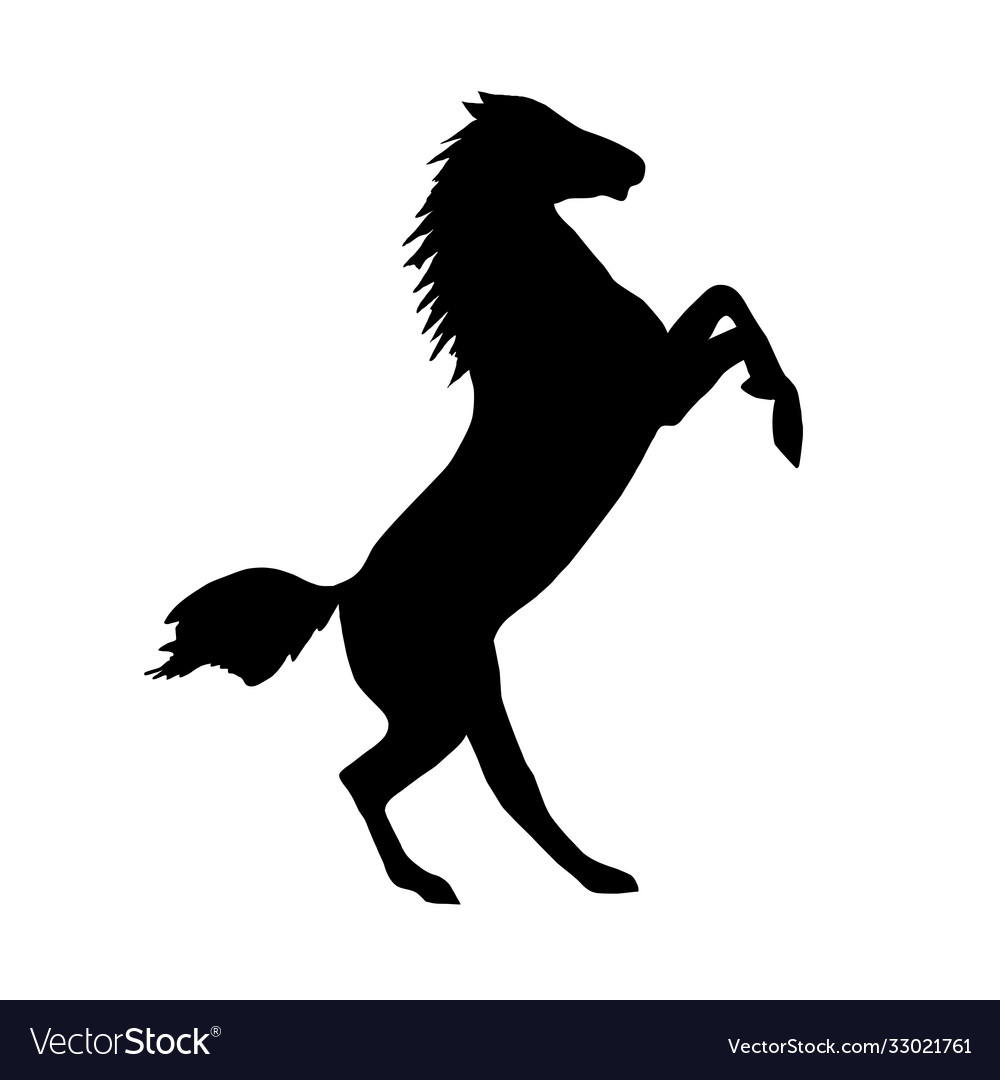 Black silhouette a horse on a white background Vector Image