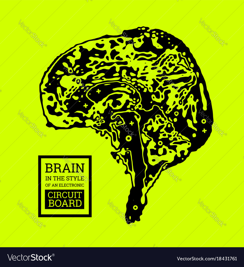 Brain is in the form of a topographic map Vector Image