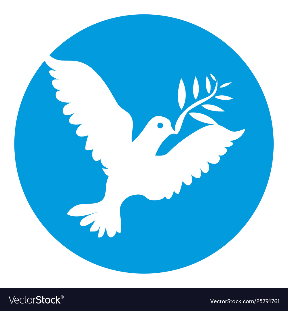 Dove white color symbol peace isolated Royalty Free Vector