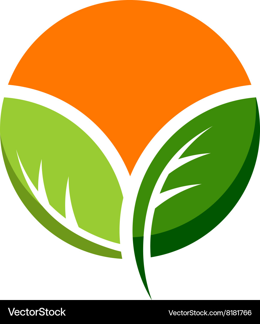 Orange Royalty Free Vector Image - VectorStock