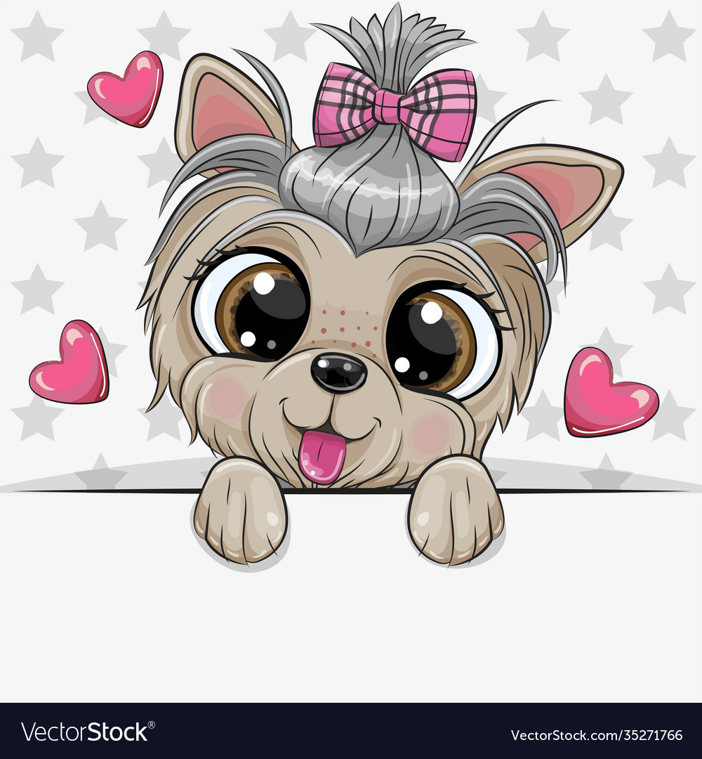 Yorkshire terrier with a bow on a stars background