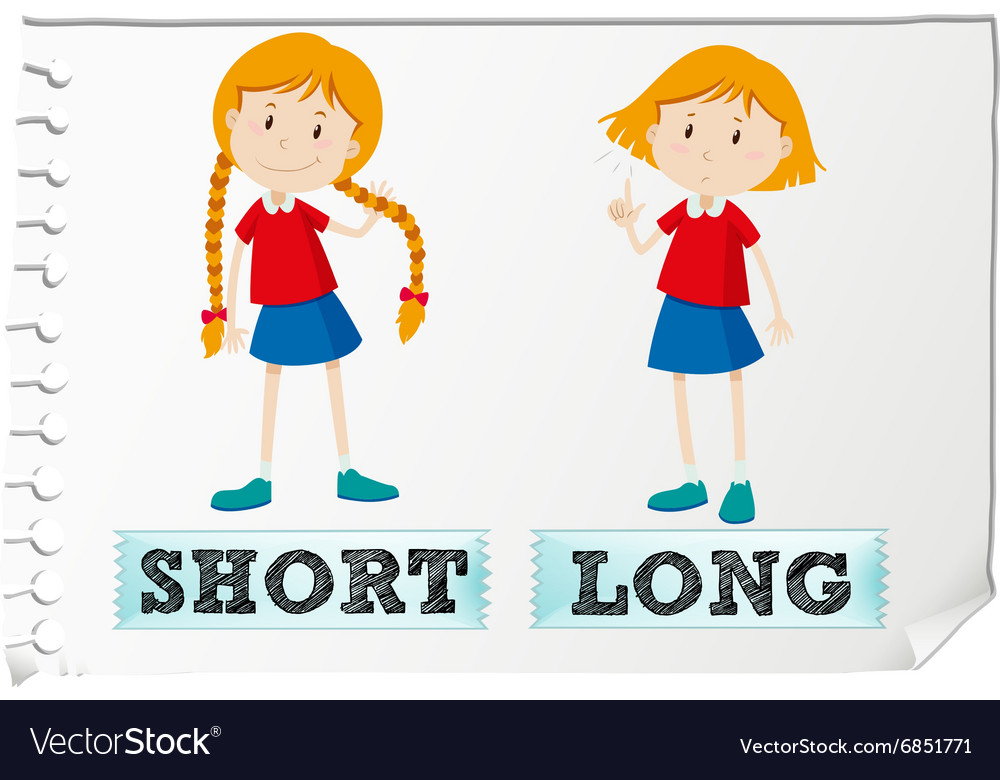 Opposite adjectives short and long Royalty Free Vector Image