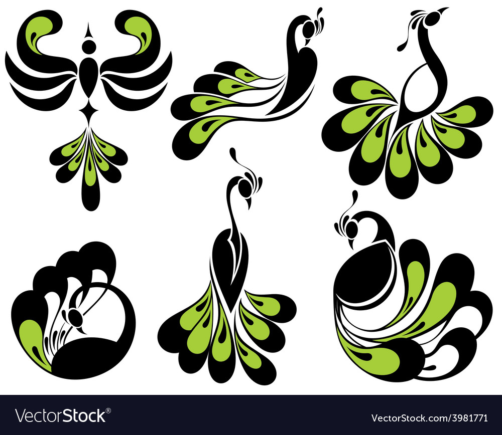 Peacock birds Royalty Free Vector Image - VectorStock