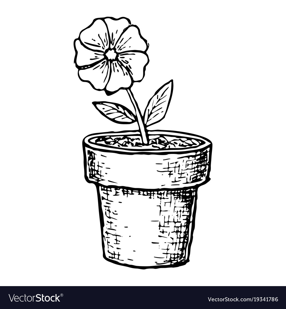 Flower Pot Design Sketch | Best Flower Site