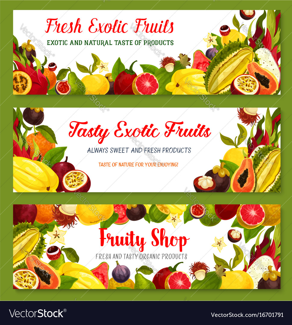 Exotic Tropical Fruit Frame And Border Banner Set Vector Image