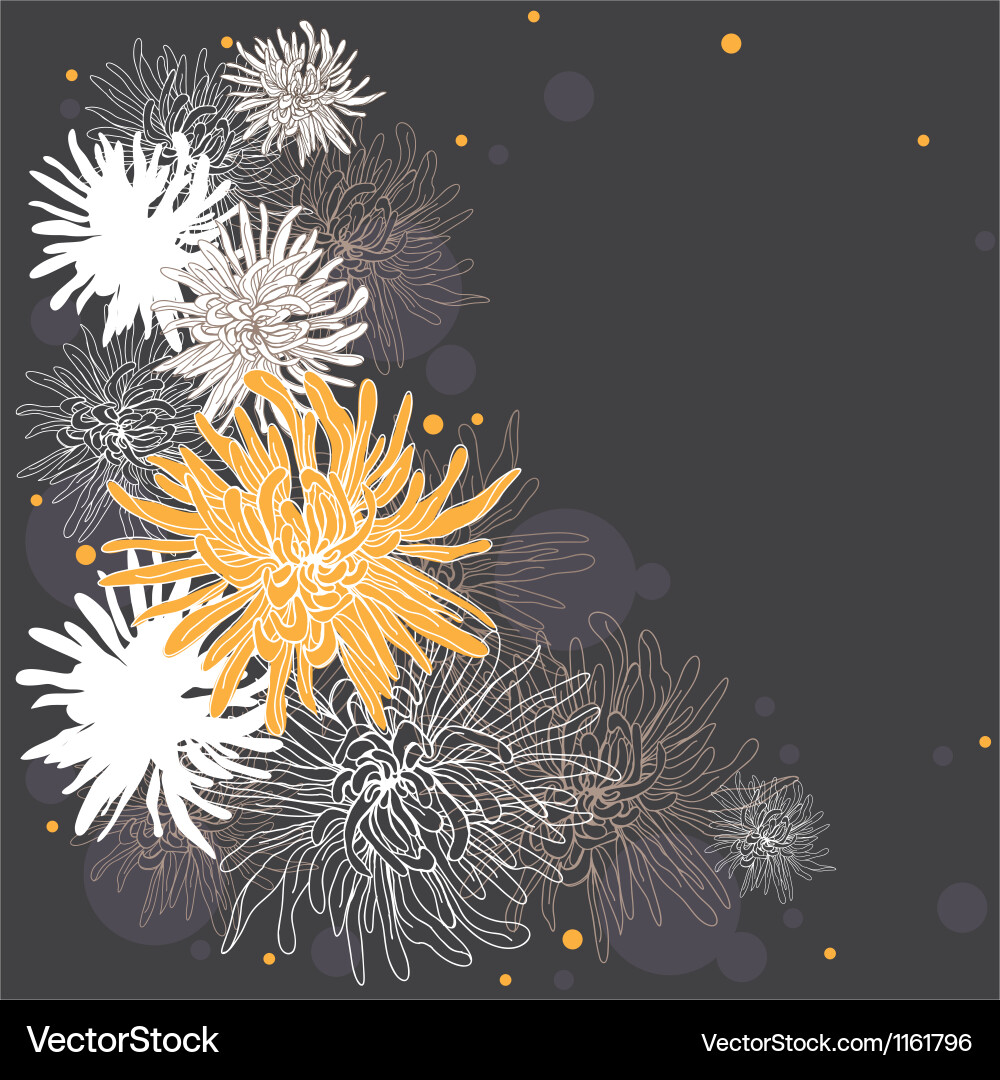 Chrysanthemum background Royalty Free Vector Image