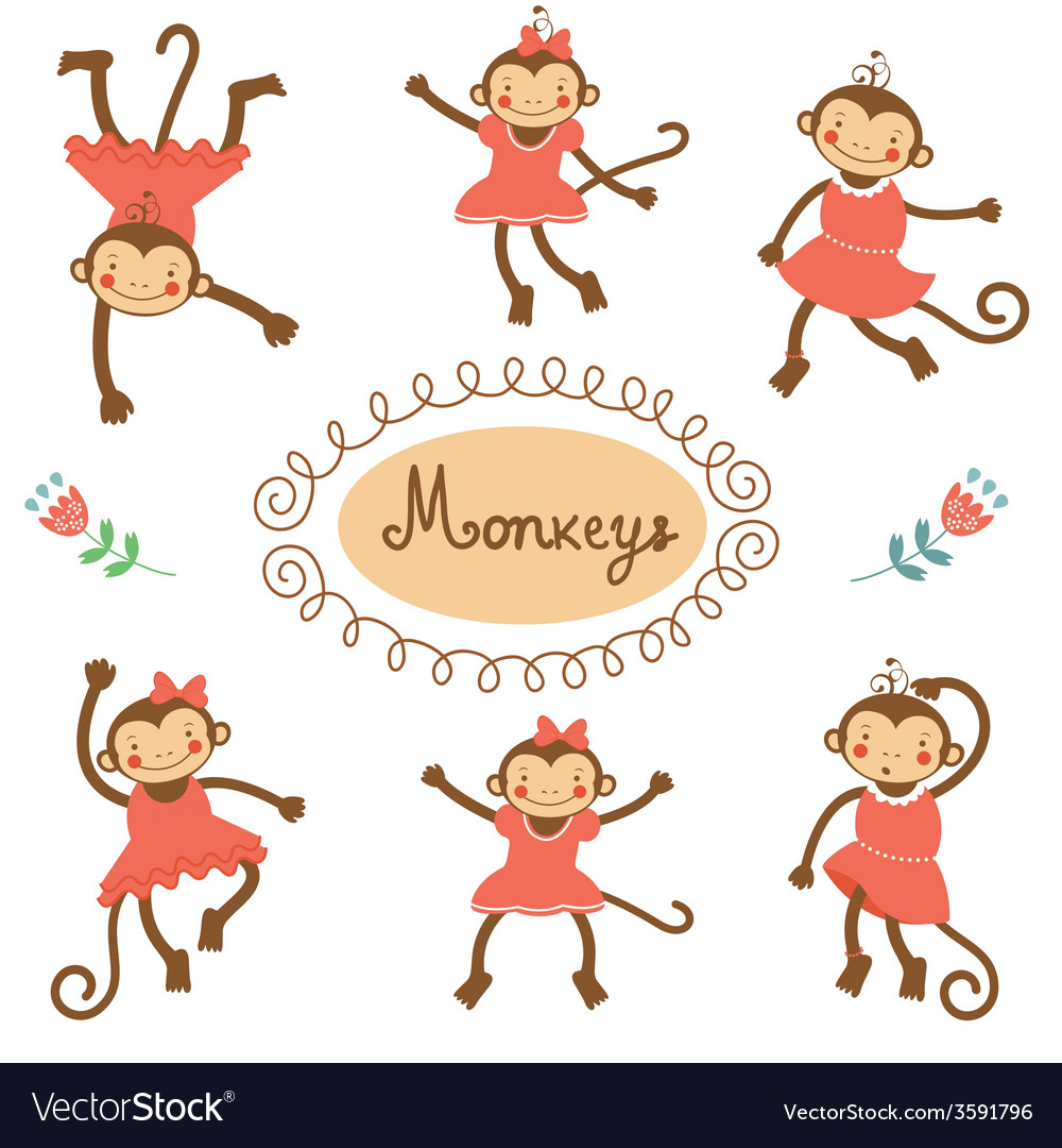 Cute funny monkeys