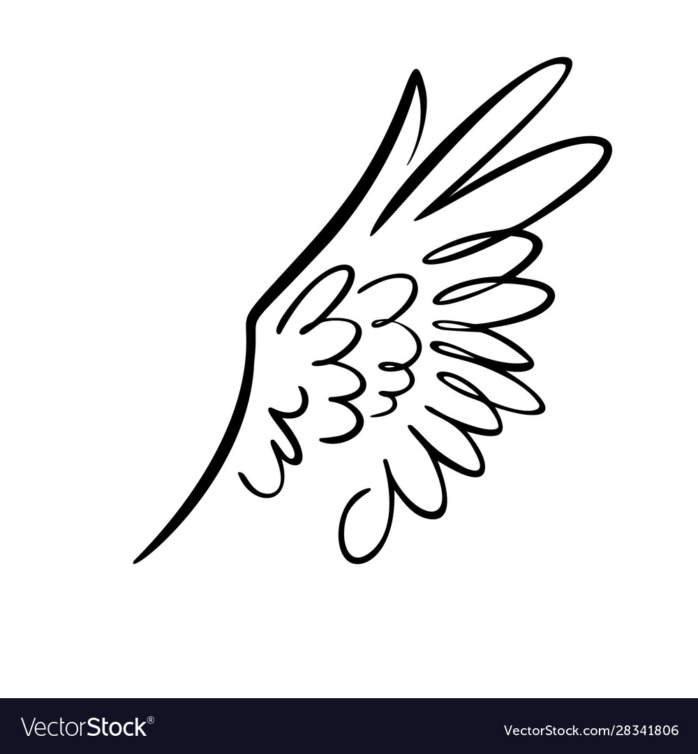 Bird wing white feathers dove swan angel Vector Image