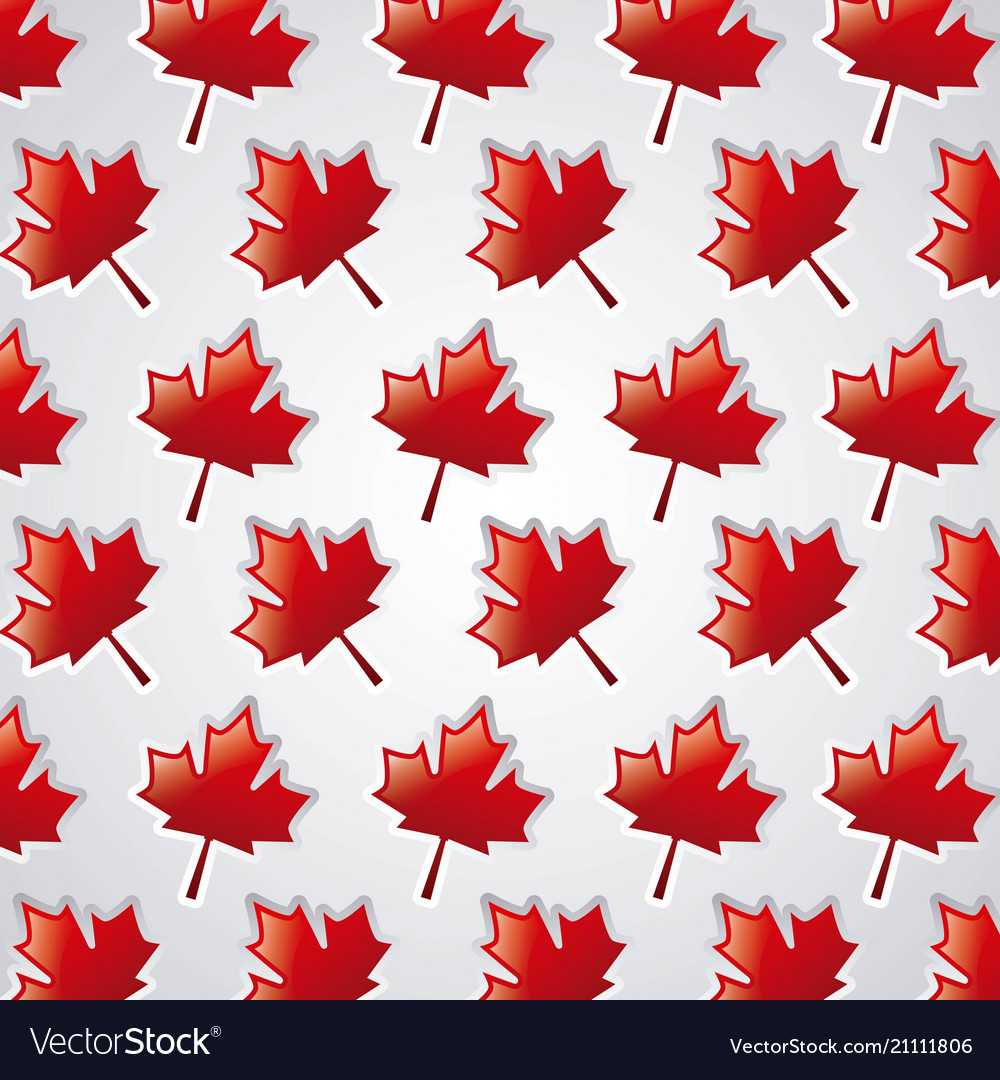 Independence canada day Royalty Free Vector Image