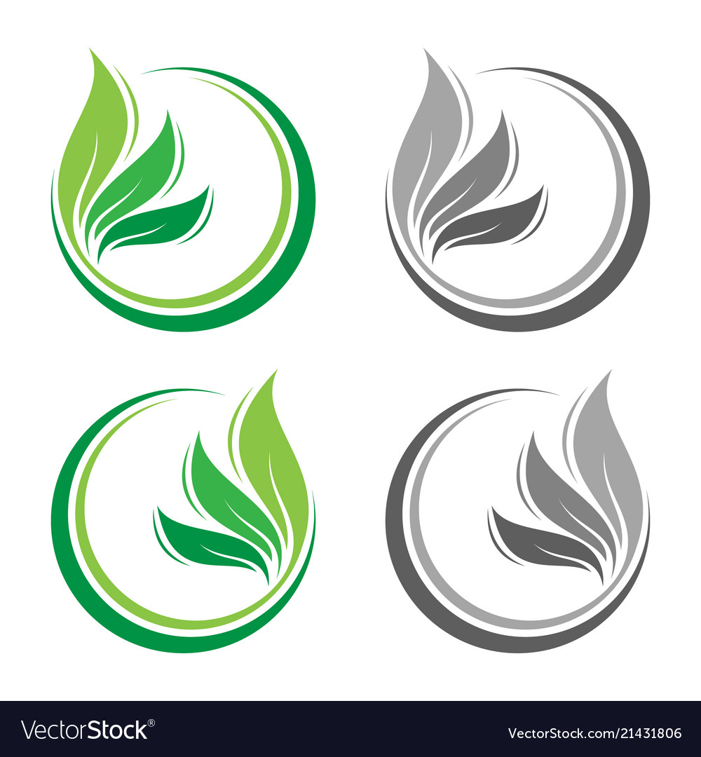 Round leaf Royalty Free Vector Image - VectorStock