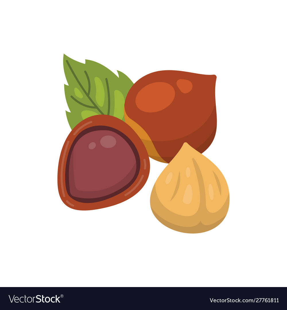 Hazelnut icon nuts in cartoon style hazel Vector Image