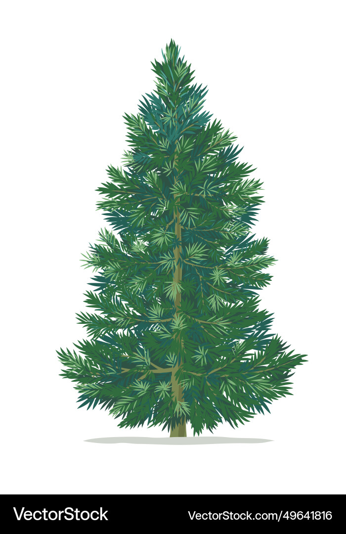 Christmas tree Royalty Free Vector Image - VectorStock