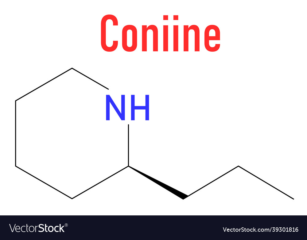 Coniine toxin molecule skeletal formula Royalty Free Vector