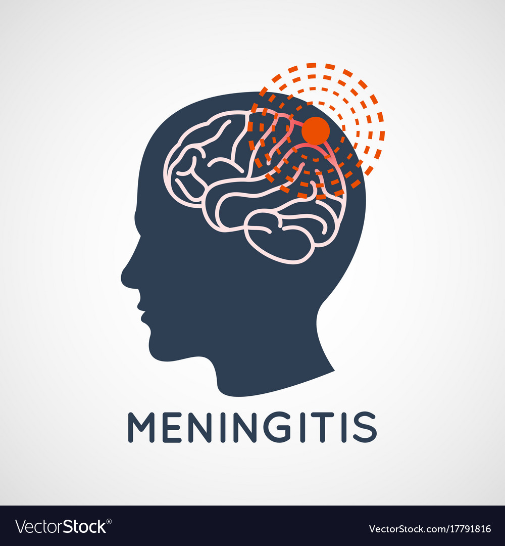 Meningitis logo icon design Royalty Free Vector Image